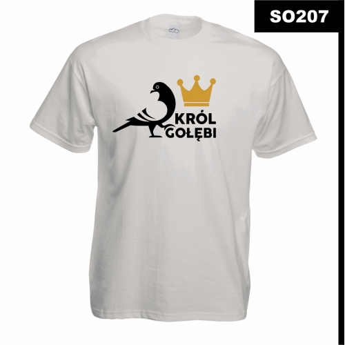 Król gołębi SO207 Gołąb Gołębiarstwo